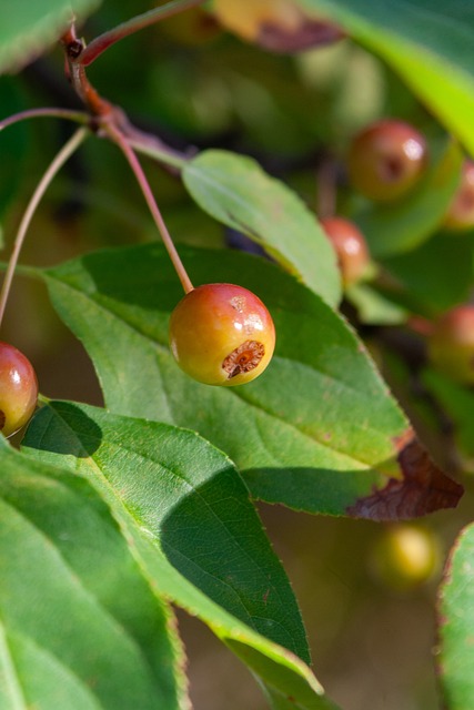 的超级巨星 的超级巨星