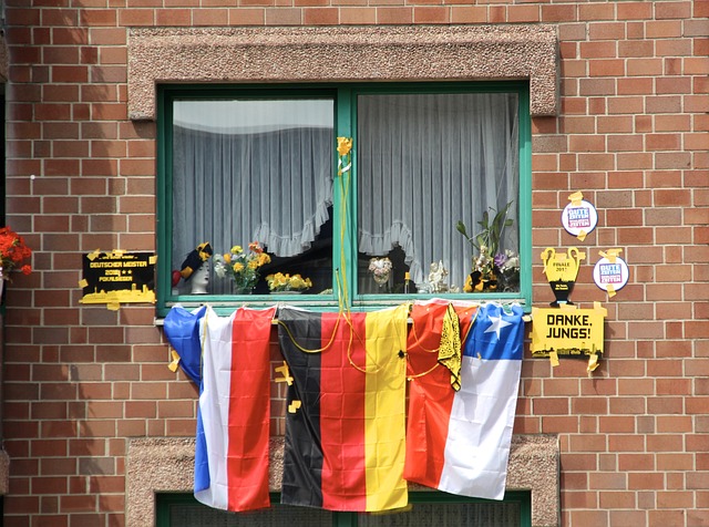 力力压新秀 力力压新秀