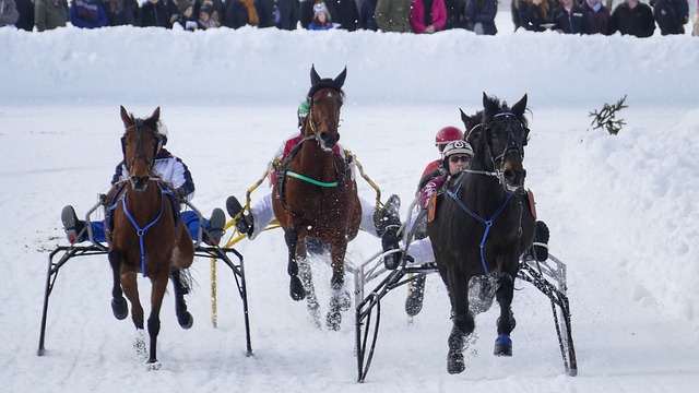 随着中国女 随着中国女