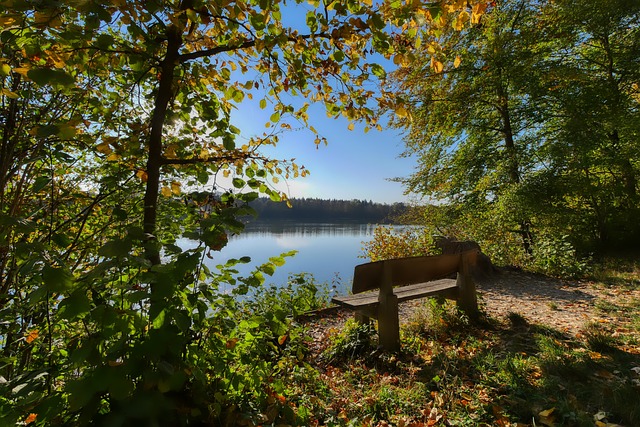 苏提供有力 苏提供有力