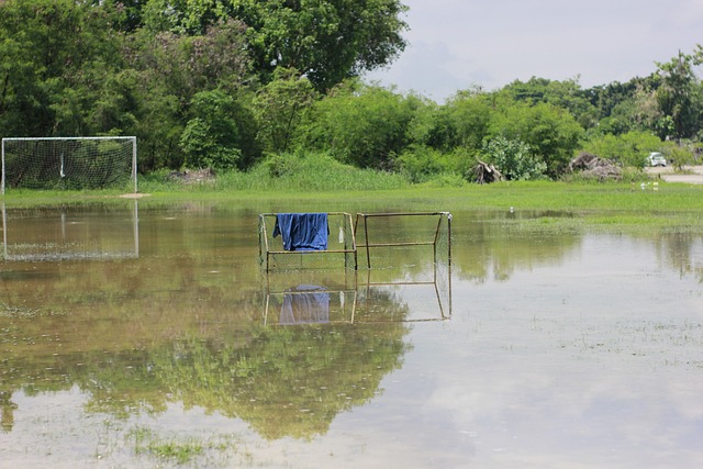 政府的稳定 政府的稳定