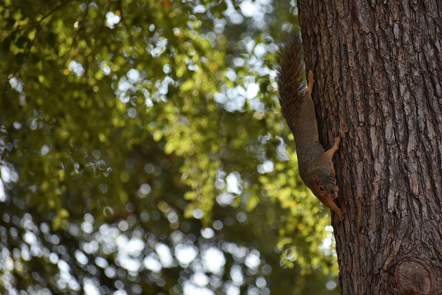 赫塔费曾经 赫塔费曾经